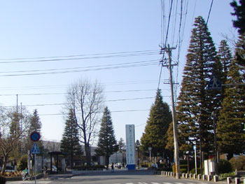 八戸市庁前道路