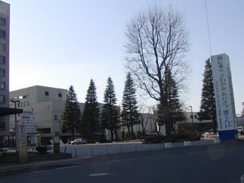 八戸市庁本館