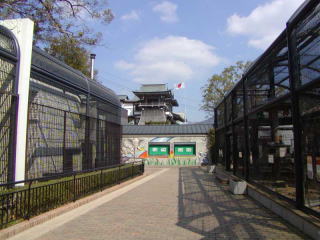 諏訪神社動物園・動物園から見る太鼓楼